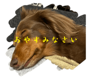660644707