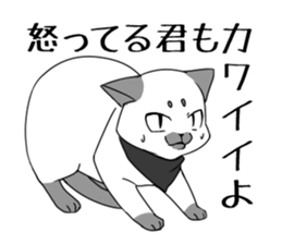 6606451