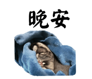 660645692