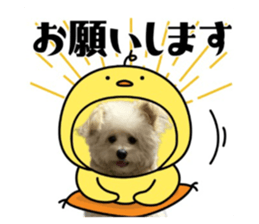 660685355