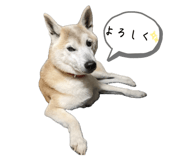 660685464