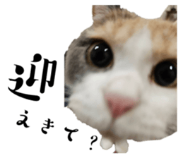 660725810