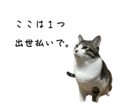 660776484