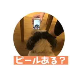 660786375