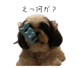 660786385