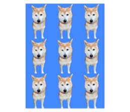 660795483