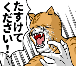 660818408