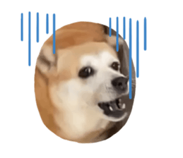 660835419