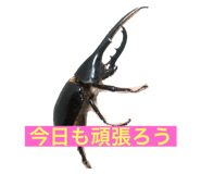 660841042