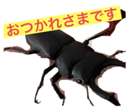 660841045