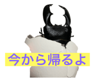 660841056