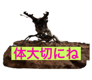 660841067