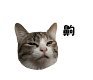 660883260