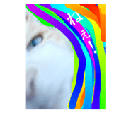 660892394
