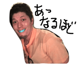66090994