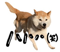 660915020