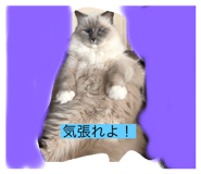 660933665