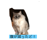 660933667