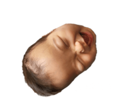 660934549