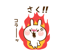 66095273