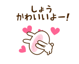 66095329