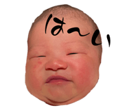 660981754