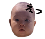660981766