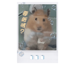 661014294