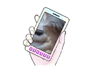 661036842