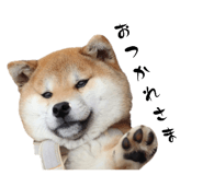661180790