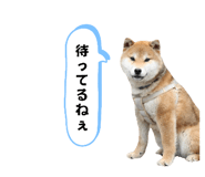 661180792