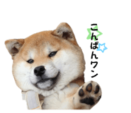 661180797
