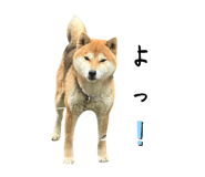 661180798
