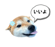 661180802