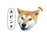 661180805