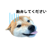 661180808