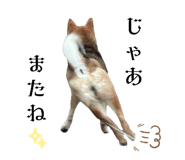 661180811