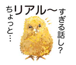 6611914