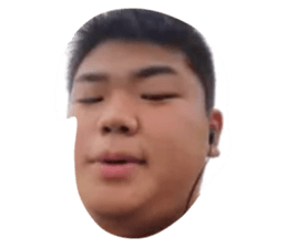 66120785