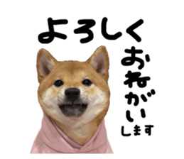 661225460