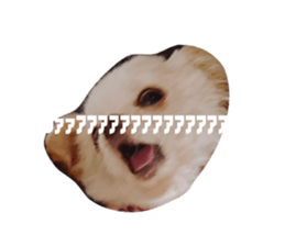 661236968