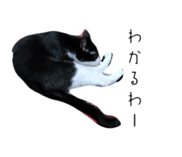661236979
