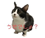 661237335