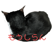 661237337