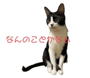 661237339