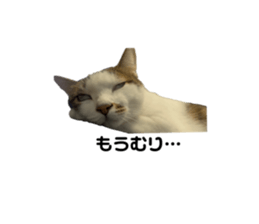 661255127