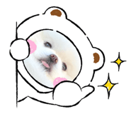 661255343
