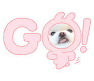 661255349