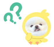 661255350