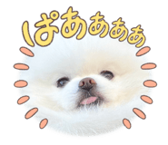 661255354